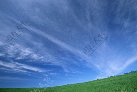 天空绿地风景图片