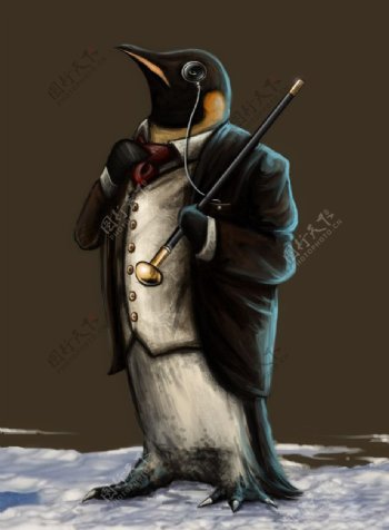 企鹅绅士图片