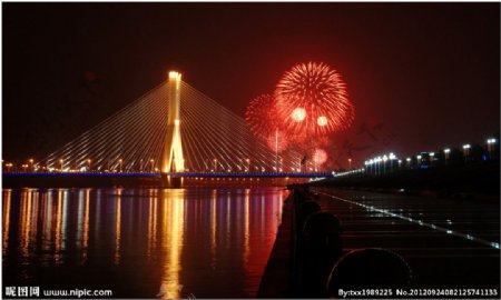 紫金大桥夜色图片