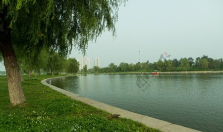 莲花湖畔图片