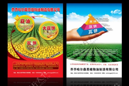 植物油豆饼宣传广告图片
