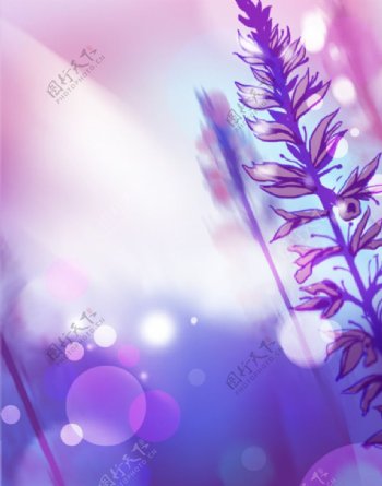 紫色梦幻装饰画背景图片