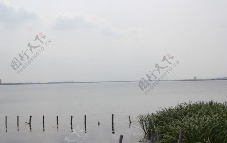 阳澄湖风景图片