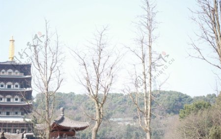 天空寺庙树木图片