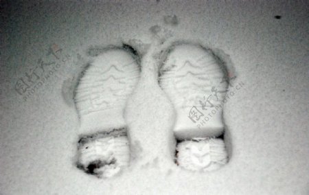 雪中的脚印图片