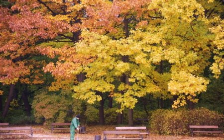 公园秋景图片