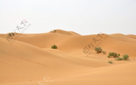 神秘腾格里大沙漠图片