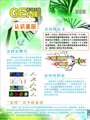 基因王国图片