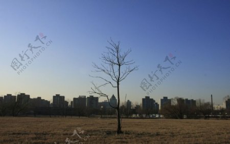 北京冬天图片