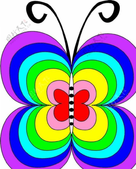 色彩斑斓的蝴蝶图片
