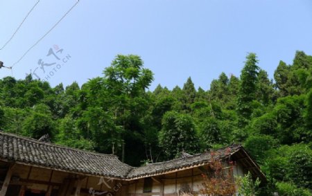 安岳县八庙乡风景图片