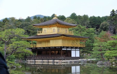 日本旅游金阁寺图片