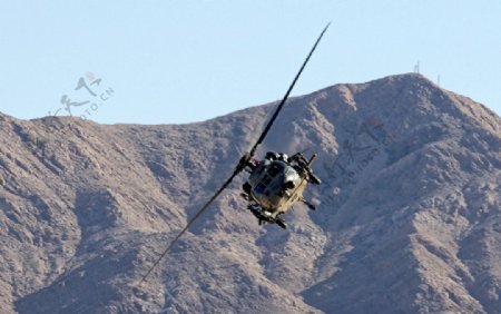 美国铺路鹰直升机图片