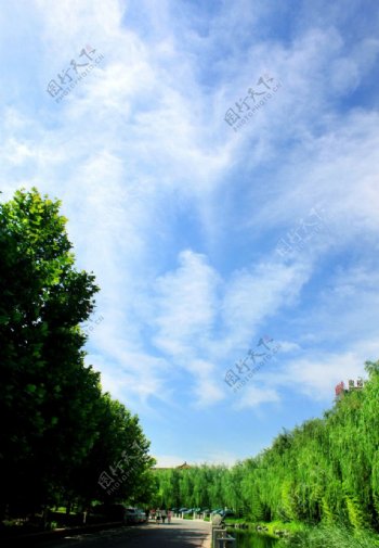 蓝天白云绿树图片