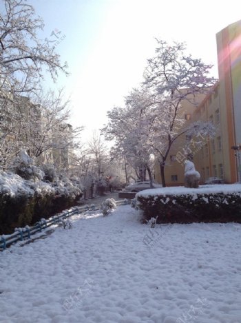 小区雪景图片