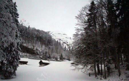 瑞士雪山脚下图片