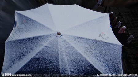 伞棚上的雪图片