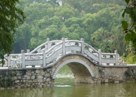 华南植物园一景图片