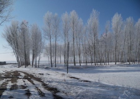 乡村雪景图片