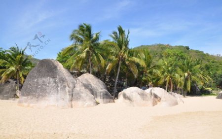 椰景石像图片