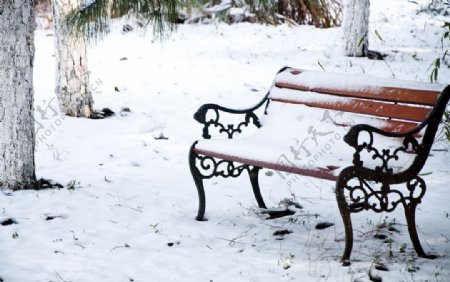 雪与长椅图片