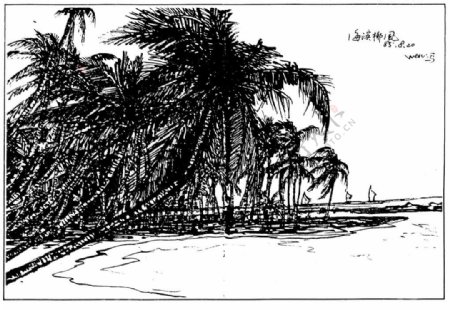 钢笔风景画海滨椰风图片