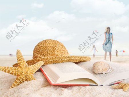 沙滩海洋生物图书图片