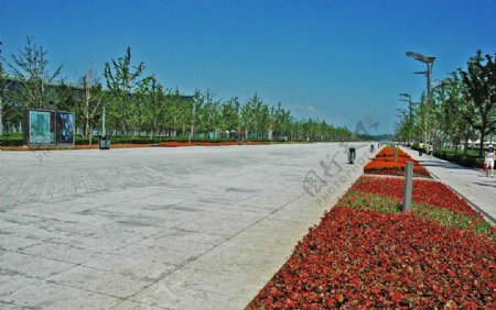 北京奥体公园花池图片