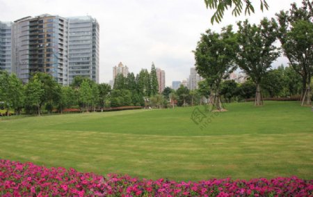 上海卢湾南园滨江绿地图片