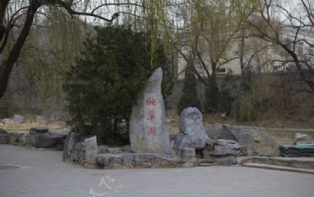 北京八大处公园图片