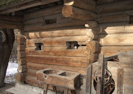 木头房子图片