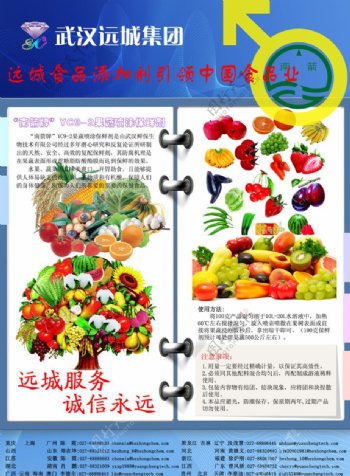 果蔬画册图片