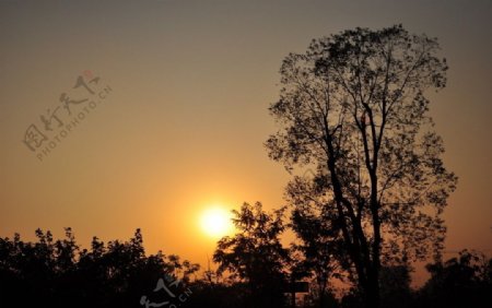 夕阳余晖图片