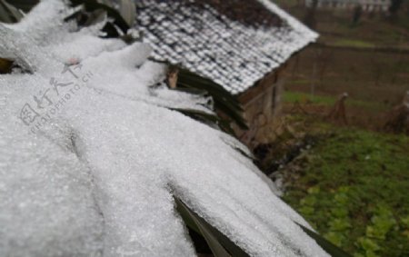 积雪棕叶房顶图片