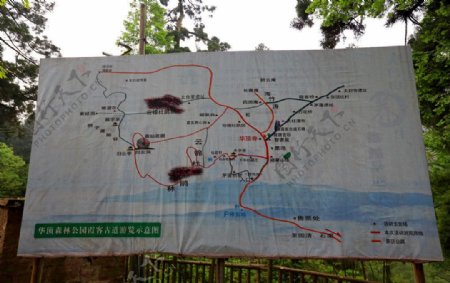 浙江华顶国家森林公园图片
