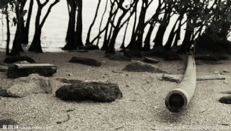 深圳湾沙滩图片