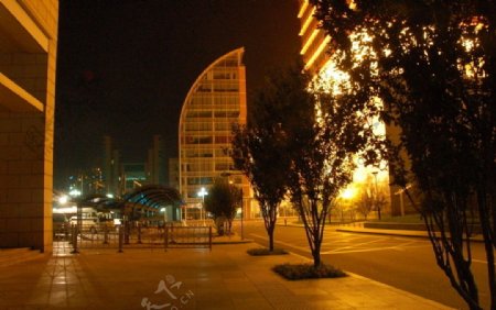 天津泰达夜景图片
