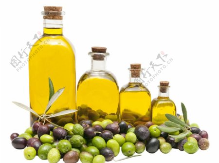 橄榄油素材图片