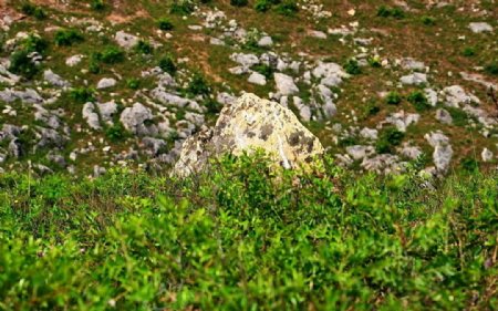 黄石山的石脉图片