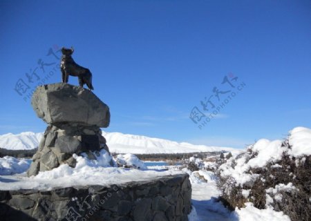 冬天风光景色图片