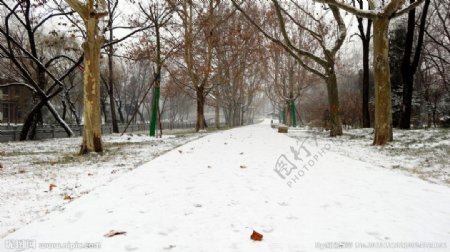 雪景图片