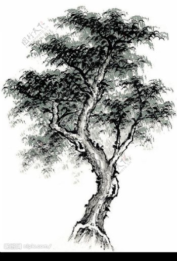 树木5图片