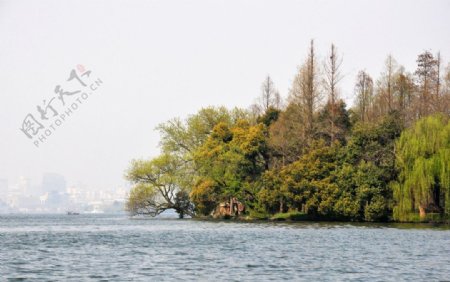 西湖中的小岛图片