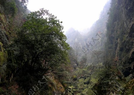 龙门风景图片