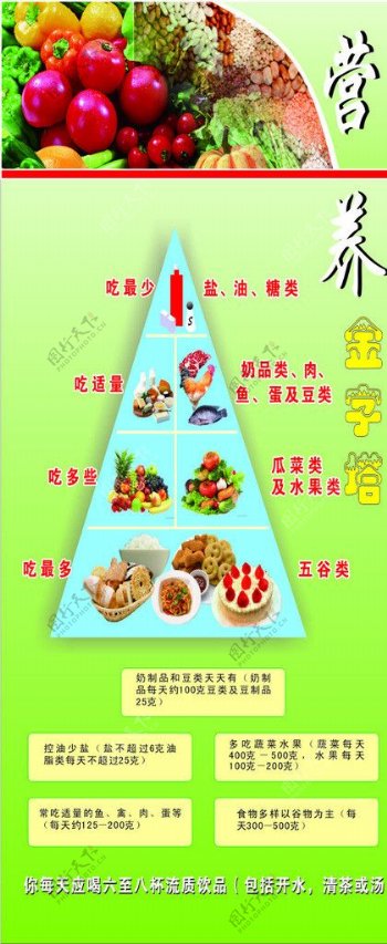 营养金字塔图片
