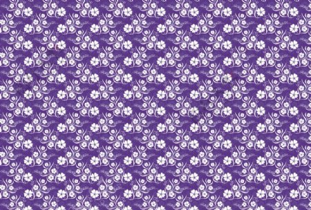 五叶草图案底纹紫图片