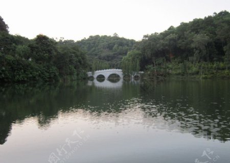 小桥绿水图片