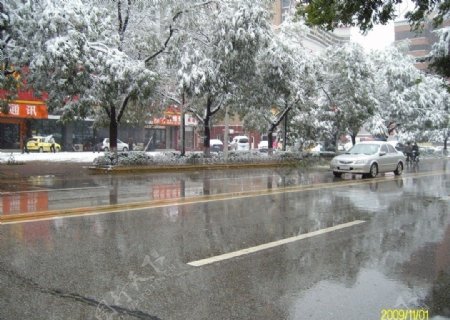 下雪的街道图片