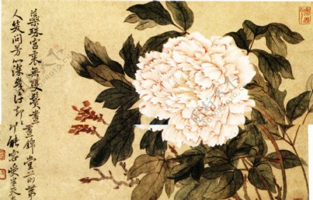 恽寿平花卉图二图片