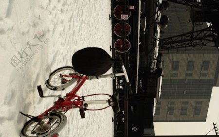 798艺术区雪中自行车图片